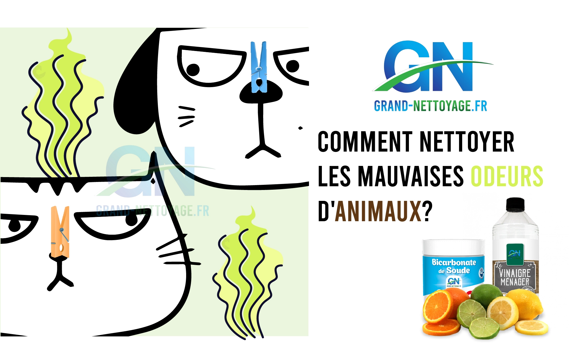 nettoyage mauvaises odeurs d'animaux